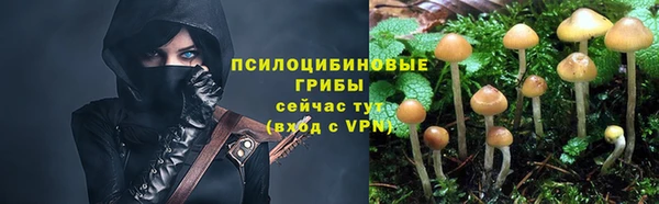 дурь Верхний Тагил